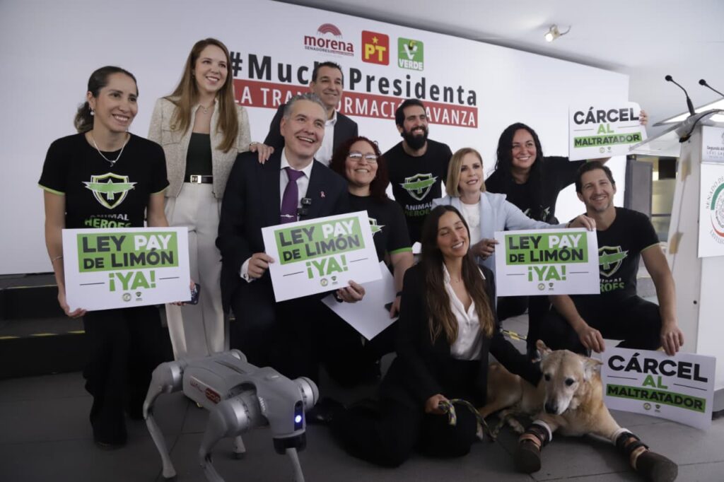 PVEM presenta iniciativa para crear la «Ley Pay de Limón» que busca imponer cárcel por maltrato animal
