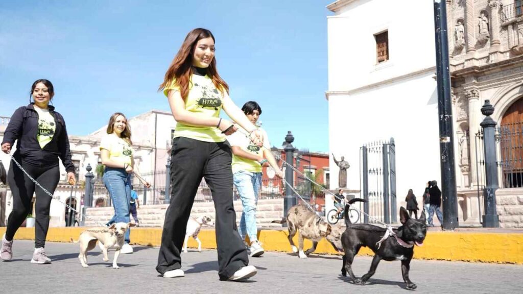 “Durango de Rol” será sede de la Feria de Adopción de Animales Rescatados