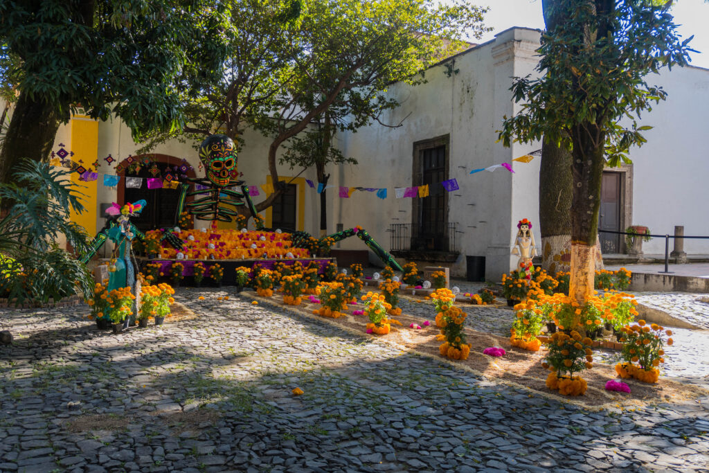 Museos de Jalisco celebran el Día de Muertos con arte, tradición y experiencias inmersivas