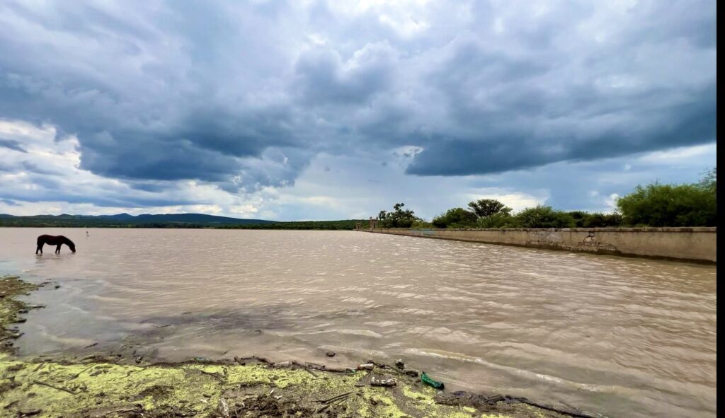 Pocas lluvias esta semana, pero buena captación y humedad en la región llanera