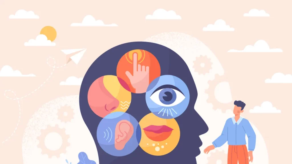 Investigadores sugieren la existencia de dos sentidos adicionales para mejorar la eficiencia cognitiva