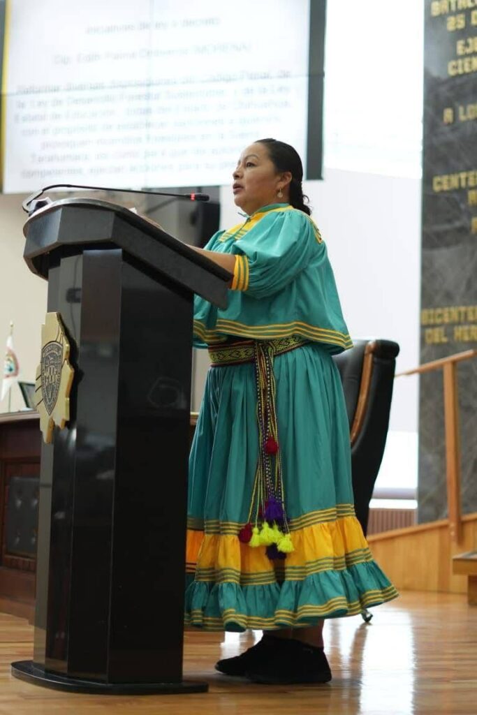 Se Proponen sanciones por incendios forestales imprudenciales en la Sierra Tarahumara