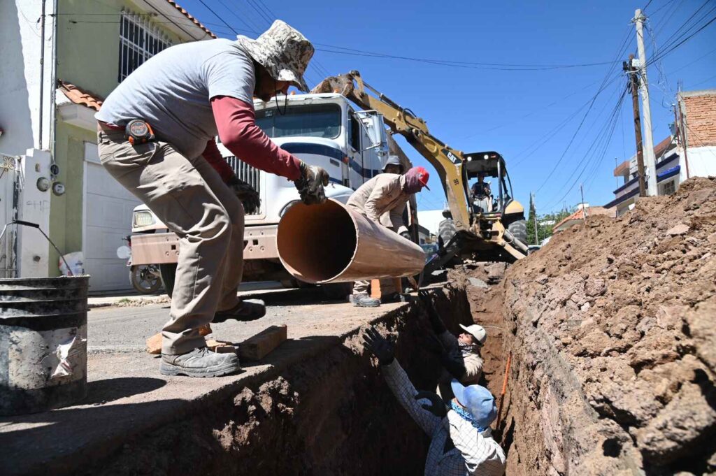 Más limpio y con mejores servicios, La Forestal se transforma