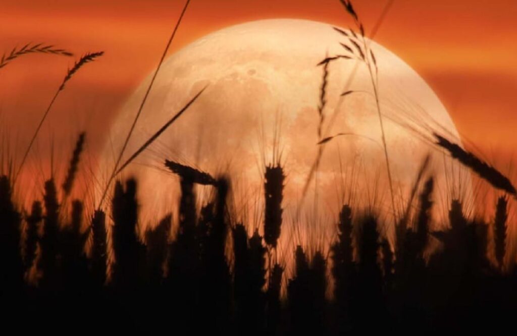 Superluna de cosecha traerá luz, magia e historia este 6 de octubre