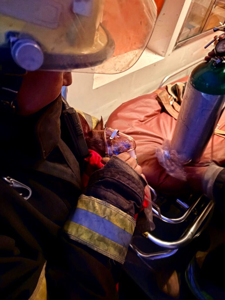 Sofoca Bomberos incendio en vivienda de la Col. Américas