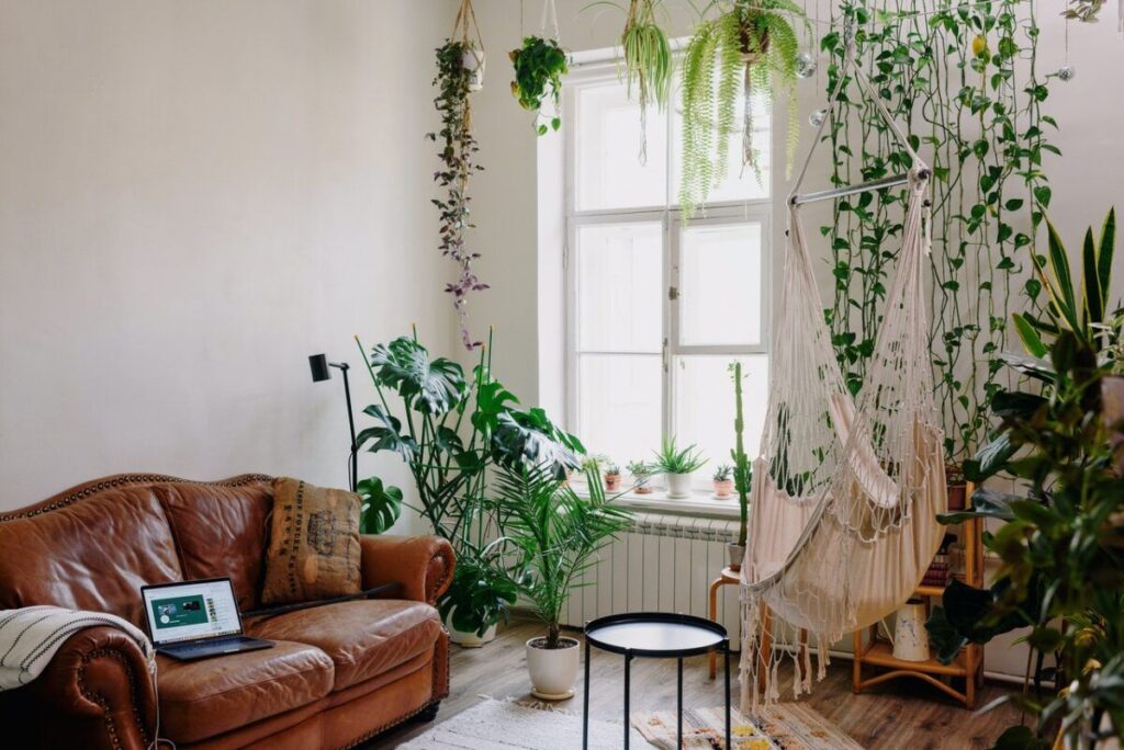 Plantas de Feng Shui: Atrae buenas energías a tu hogar