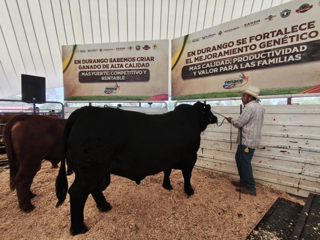 Durango tiene todo para ser líder nacional en producción de carne de calidad: César Rivas