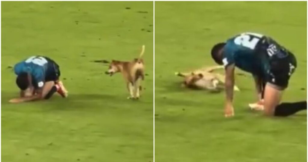 «Nuevo Neymar»: Perrito hace insólito gesto al invadir la cancha