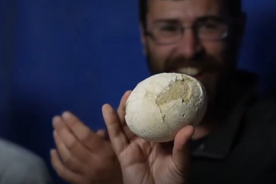 Descubrimiento de huevo de dinosaurio podría reescribir historia paleontológica