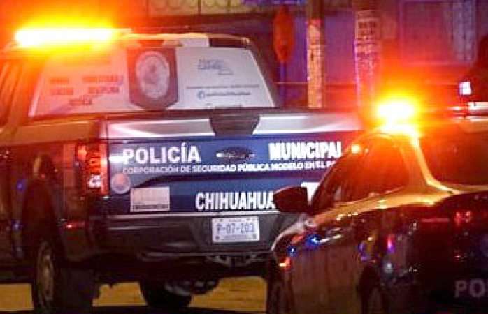 Hallan bolsas con gatos muertos en fraccionamiento de Chihuahua