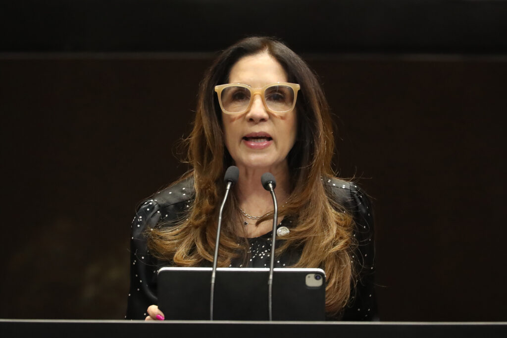 Nueva Ley Aduanera no limpia las aduanas, las ensucia: diputada Paty Flores (MC)