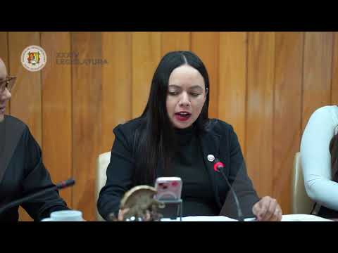 Resumen de la actividad legislativa en el Congreso estatal