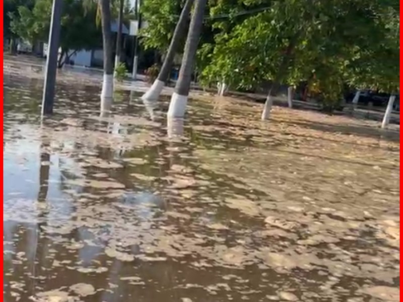 Sube el nivel del mar en la playa del borrego en San Blas por efecto del huracán Priscila