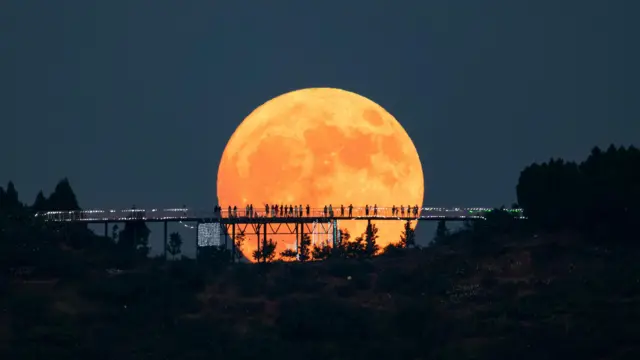 Eventos Astronómicos de Noviembre: Un mes para no perderse el cielo