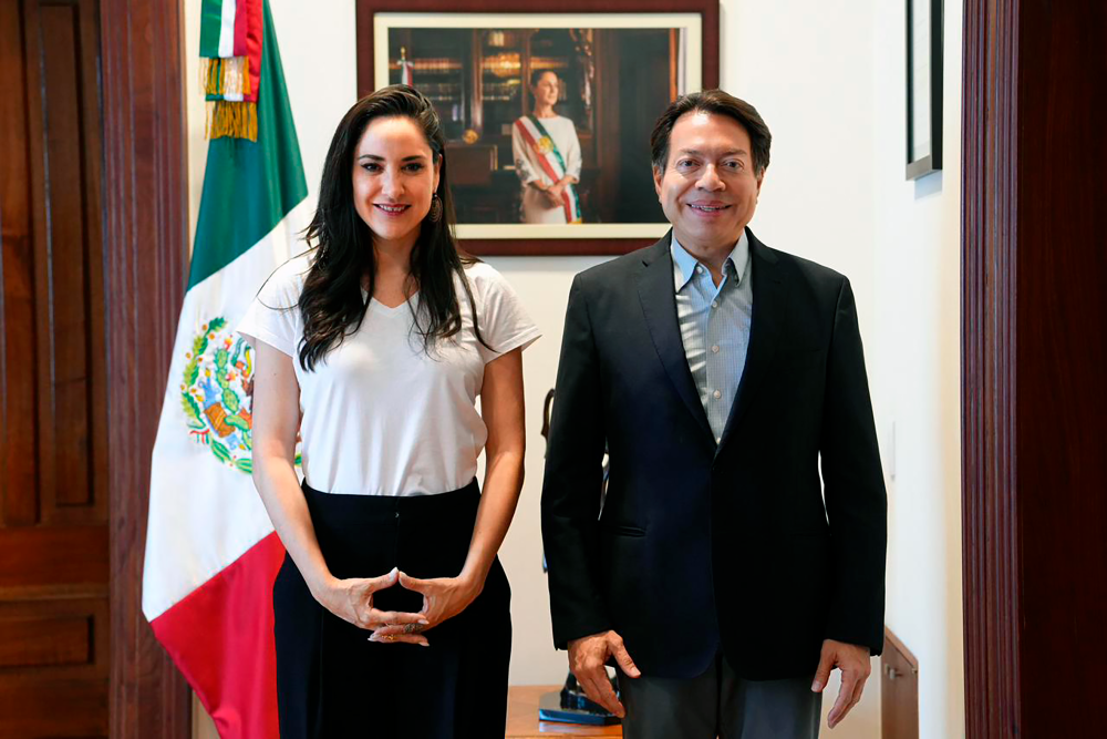 SEP y Cultura lanzan 19 libros infantiles en lenguas indígenas para comunidades rurales