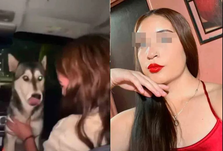 Expulsan a estudiante por forzar a perrita callejera a beber alcohol