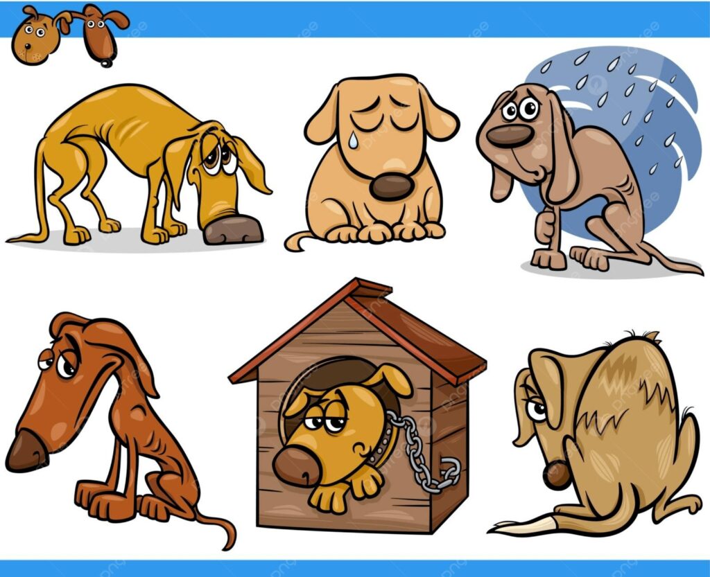 Indignación en Nuevo Ideal por envenenamiento de perritos callejeros; autoridades investigan