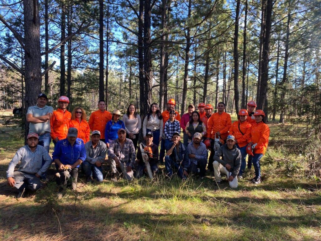 Fortalecen acciones de sanidad forestal