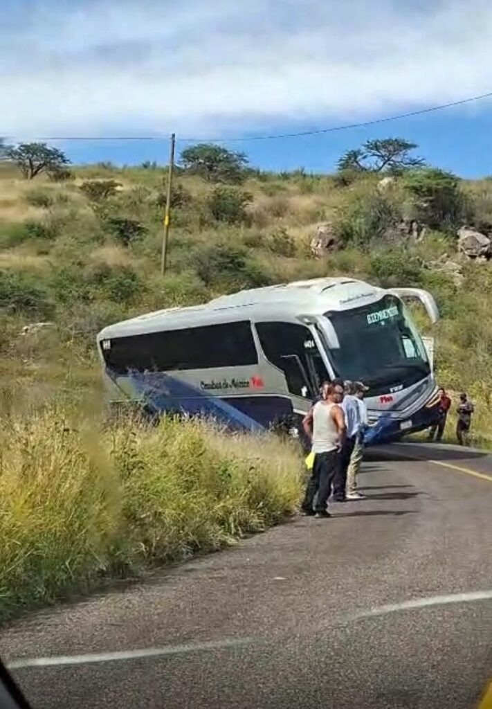 Autobús de pasajeros se salió de la carretera en una curva (video)
