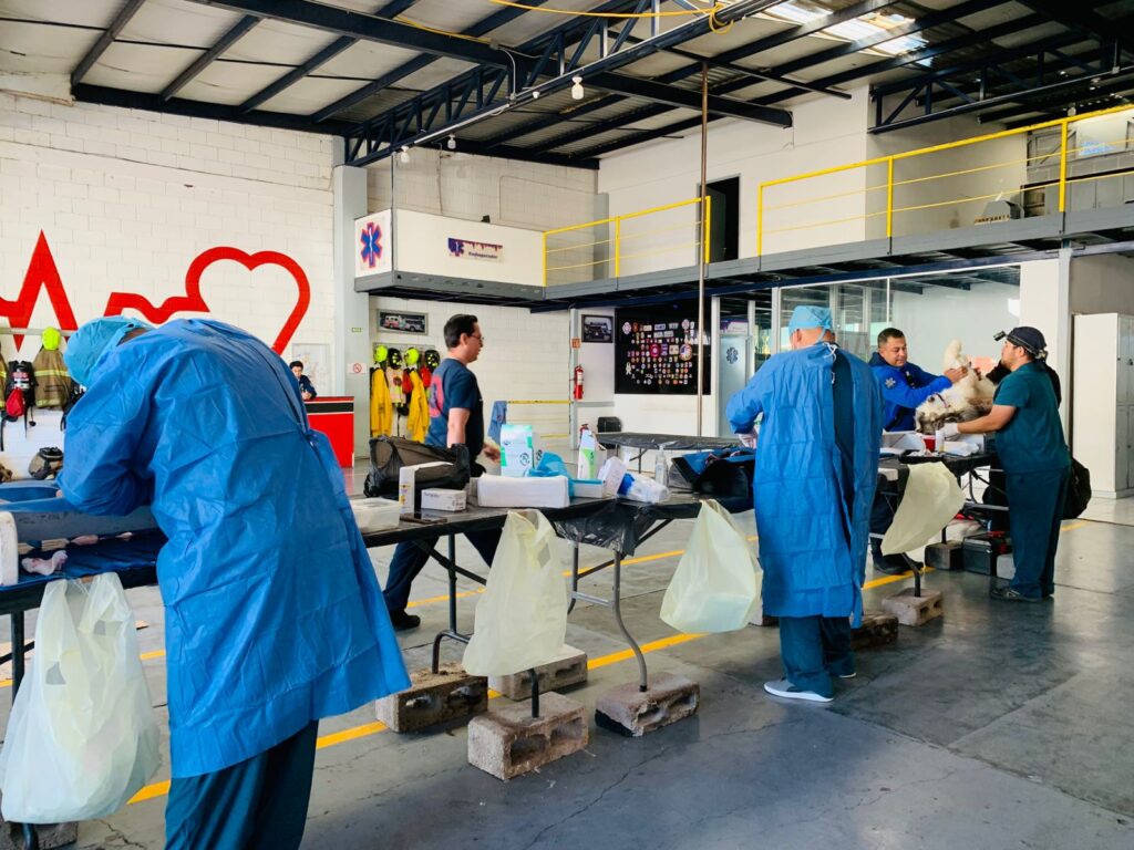 Campaña de esterilización en Santiago Papasquiaro supera la meta con 128 mascotas atendidas