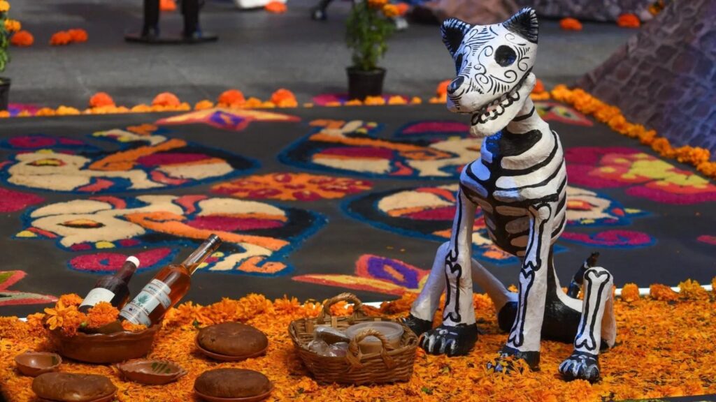 Día de Muertos: ¿Cuál es el significado del perro xoloitzcuintle en el altar?