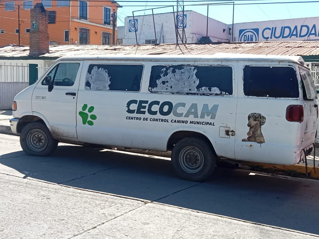 Crece problema de perros callejeros mientras CECOCAM sigue inactivo