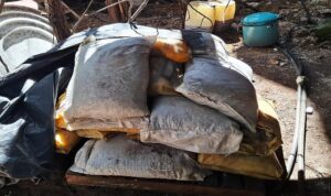 Gabinete de Seguridad le pega al narco en Durango