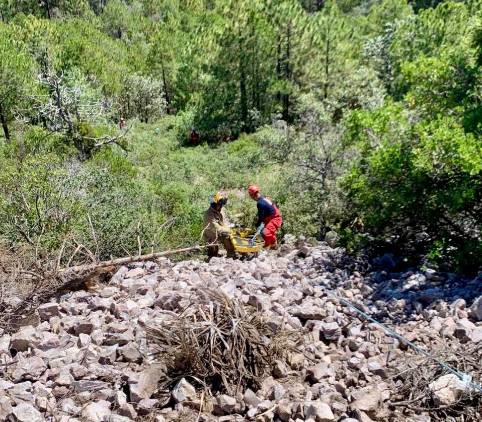 Mu3r3 trabajador forestal al ser golpeado por árbol seco en la sierra de Santiago Papasquiaro