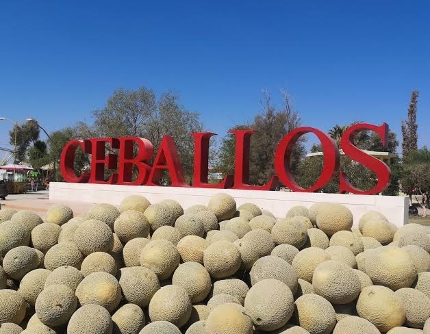 Ceballos busca ser Villa; diputada Nadia Milán impulsa reconocimiento histórico