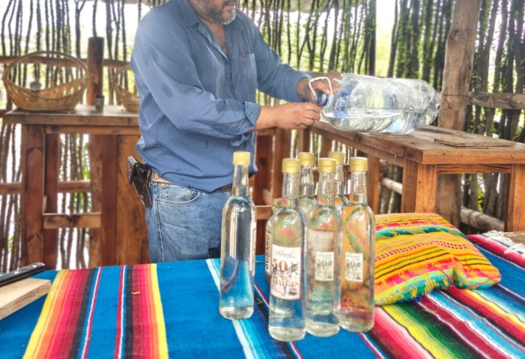 Mezcal: productores se organizan para competir; Durango será sede nacional