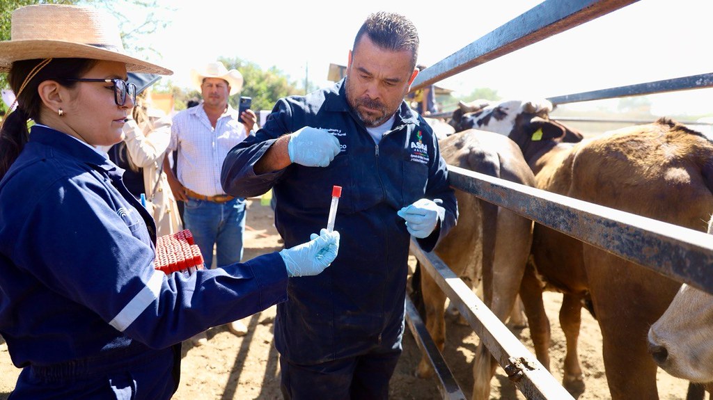 Jalisco confirma ausencia del Gusano Barrenador del Ganado tras un único caso en Encarnación de Díaz