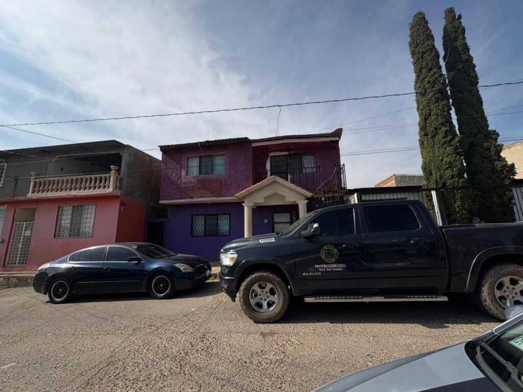 Lo atacan abejas, 50 piquetes lo mandan al hospital