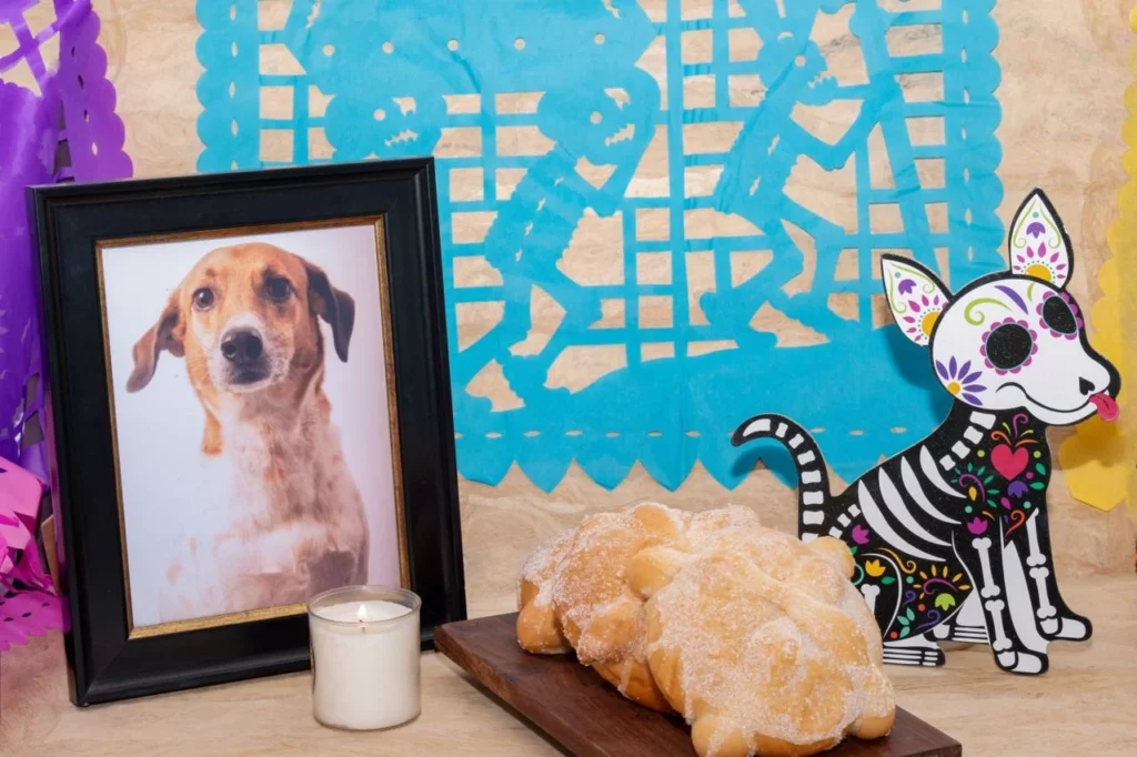 Pan de muerto para mascotas: una tendencia que cautiva a dueños y perritos