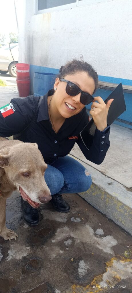 Protección Civil de El Marqués despide a su querido perro ‘Pipeco’