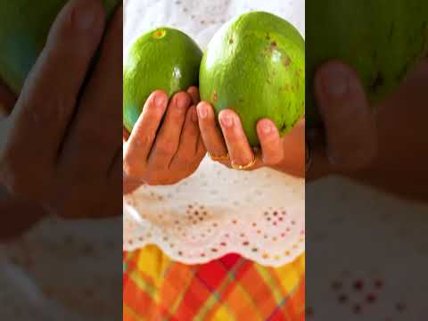 El aguacate nayarita obtuvo su certificación y podrá exportarse a Estados Unidos.