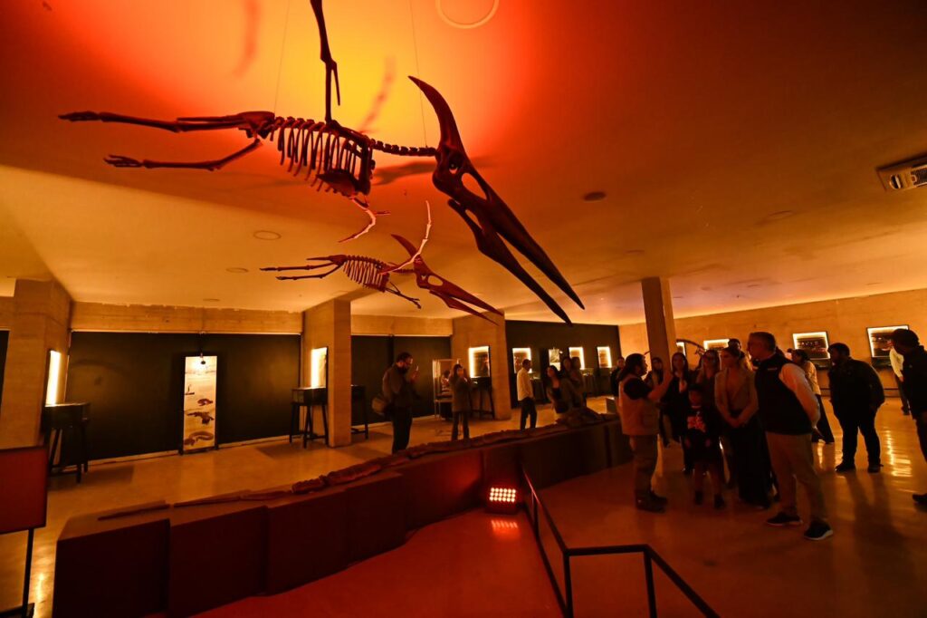Inaugura Marisol nueva exposición temporal en el Museo Bebeleche: “Reptiles del pasado y el presente”