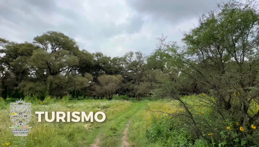 Promueven el turismo local para fortalecer la economía y el desarrollo sostenible