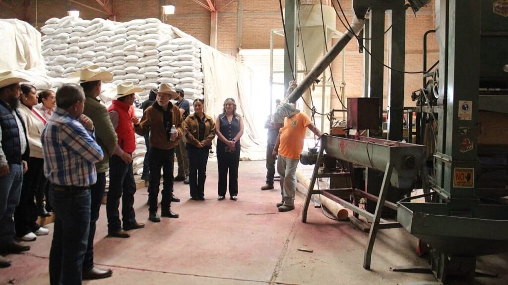 Supervisan el Acopio de Frijol en Vicente Guerrero
