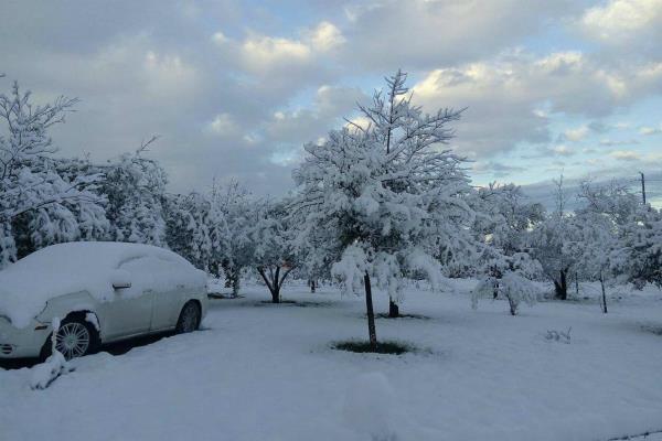 MASA POLAR aumenta el riesgo de heladas en México