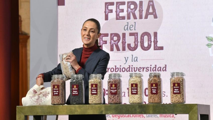 La Mañanera de Sheinbaum, 14 de noviembre, minuto a minuto