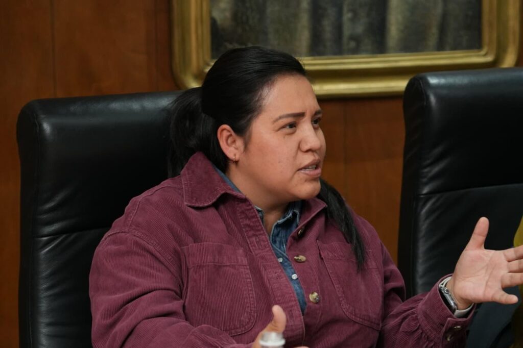 Urge activar Alba y Amber sin retrasos en Durango: plantea diputada Flora Isela