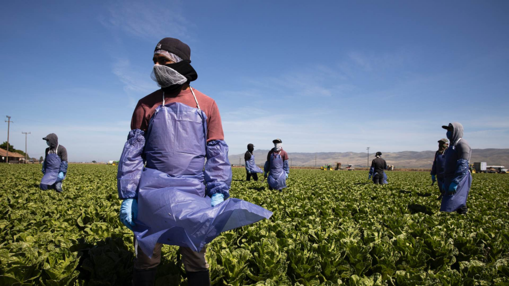 México extradita a “El Quichi”, acusado de explotación laboral de agricultores en EE.UU.