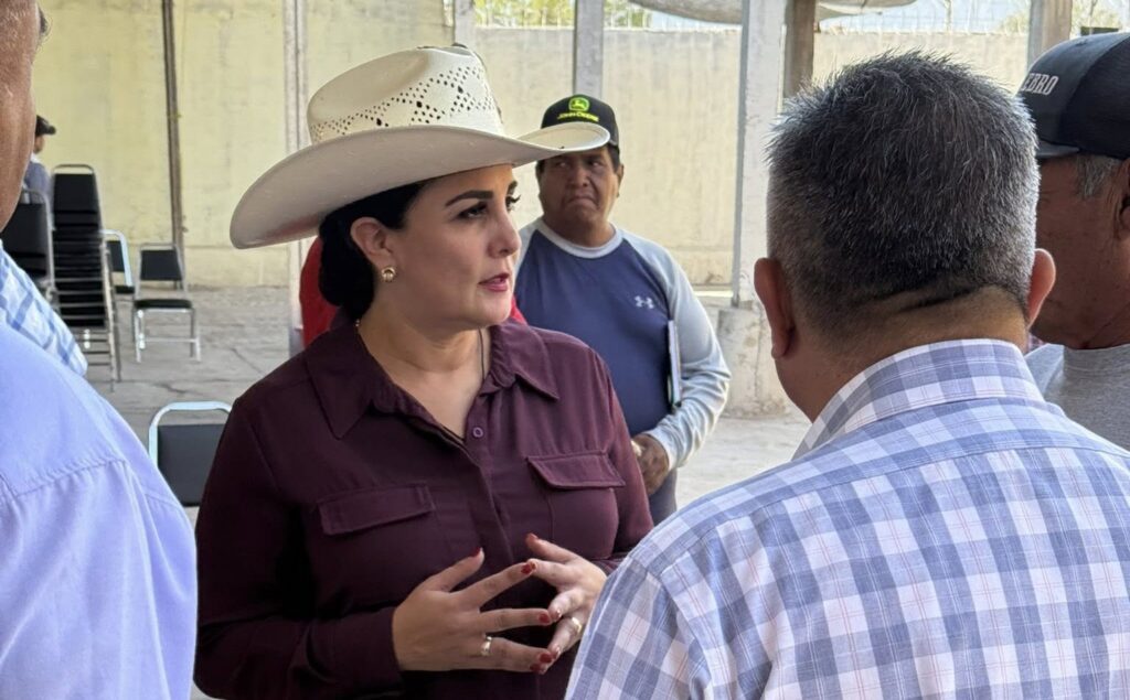 Bonos de carbono, nueva oportunidad económica para campesinos: Georgina Solorio