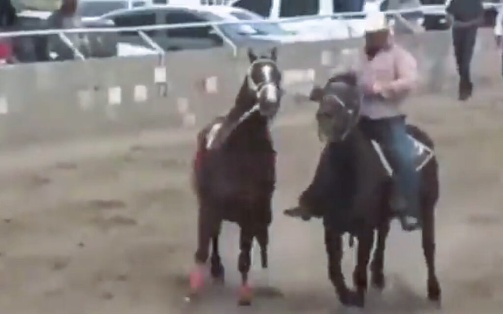 Balacera en carrera de caballos en Chihuahua deja siete muertos