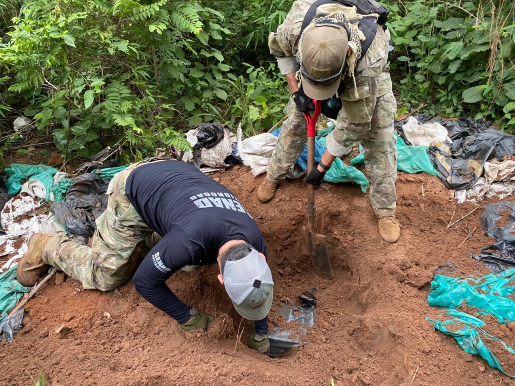 Aseguran más de 337 millones de pesos en drogas en Sinaloa