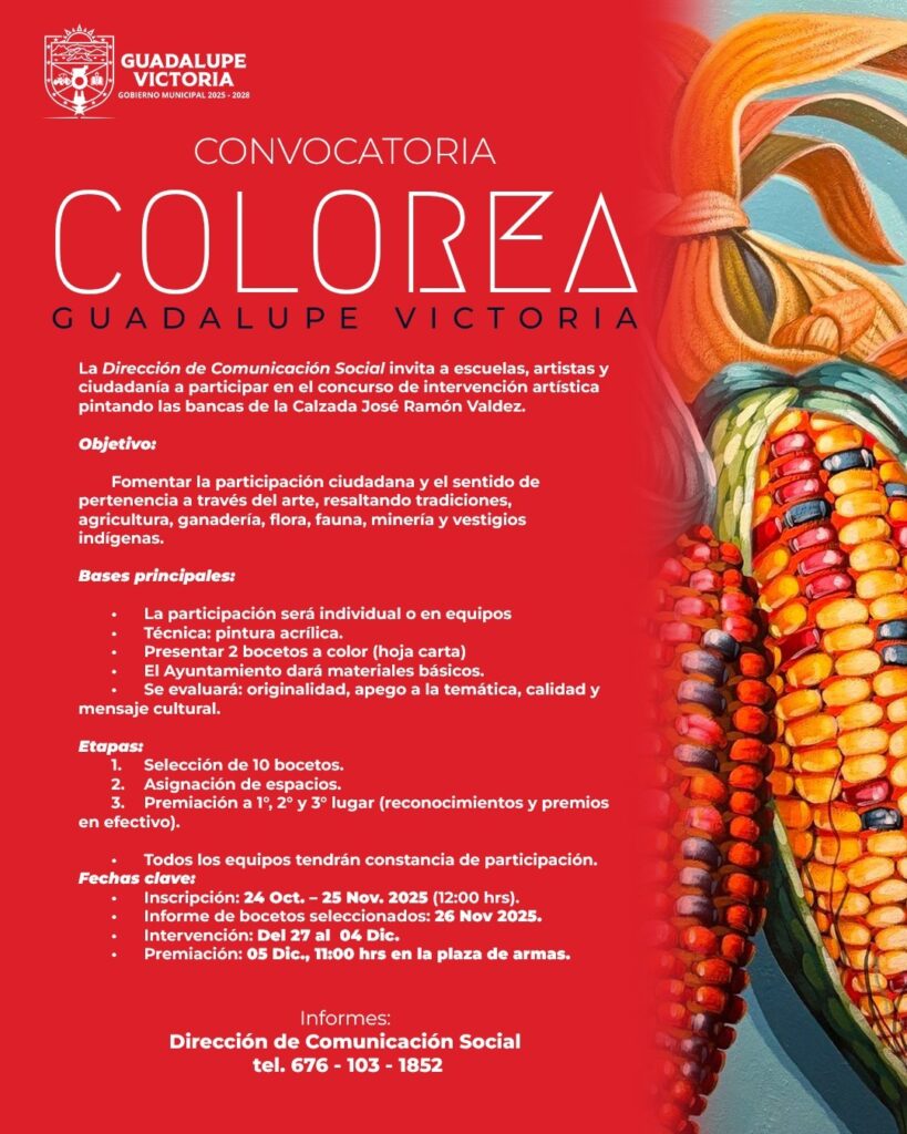 Promueven participación ciudadana y artística con el concurso “Colorea Guadalupe Victoria»