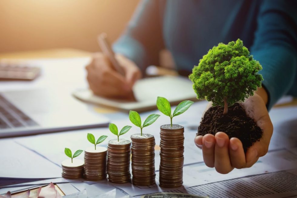 PAN propone que 20 % de impuestos ecológicos se destine al Fondo Ambiental de Durango
