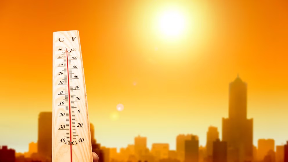 OMS alerta que olas de calor causan 540 mil muertes anuales