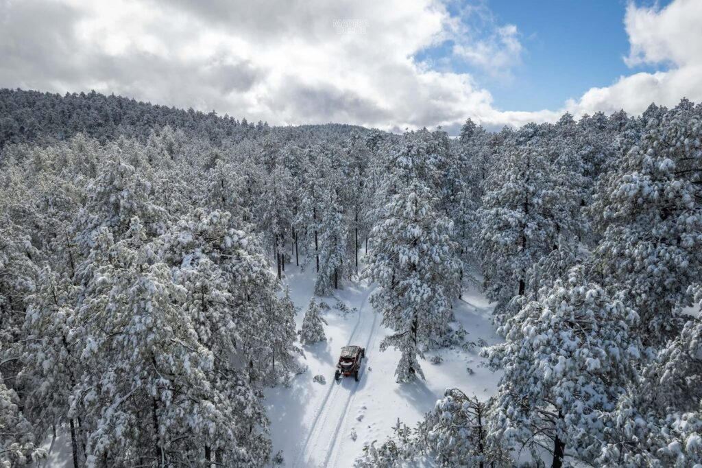 Llegan las primeras nevadas a Chihuahua; Madera amanece cubierto de blanco