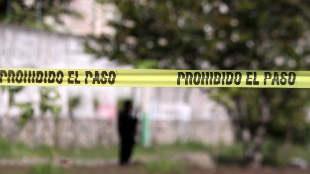Homicidios dolosos han reducido 37% en lo que va del gobierno de Sheinbaum